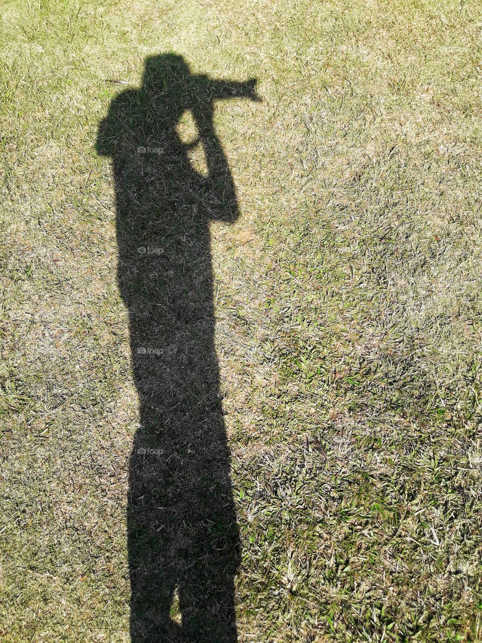 The shadow of the photographer standing on the green lawn, light and shadow.