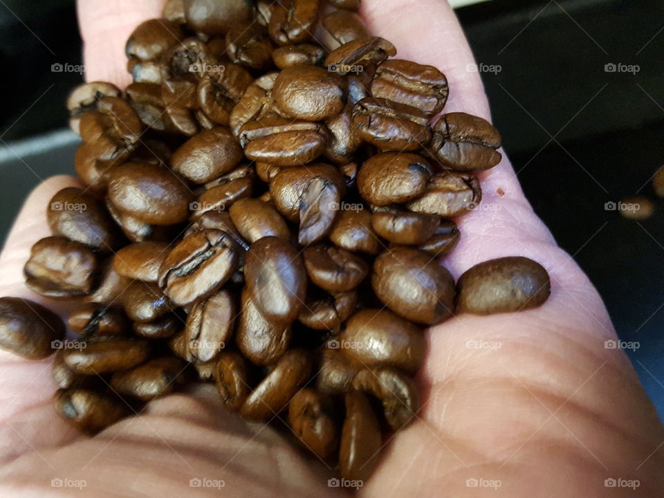 coffee beans