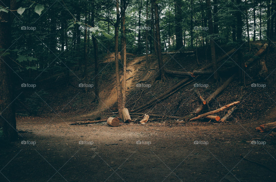 amazing dirt bike trails