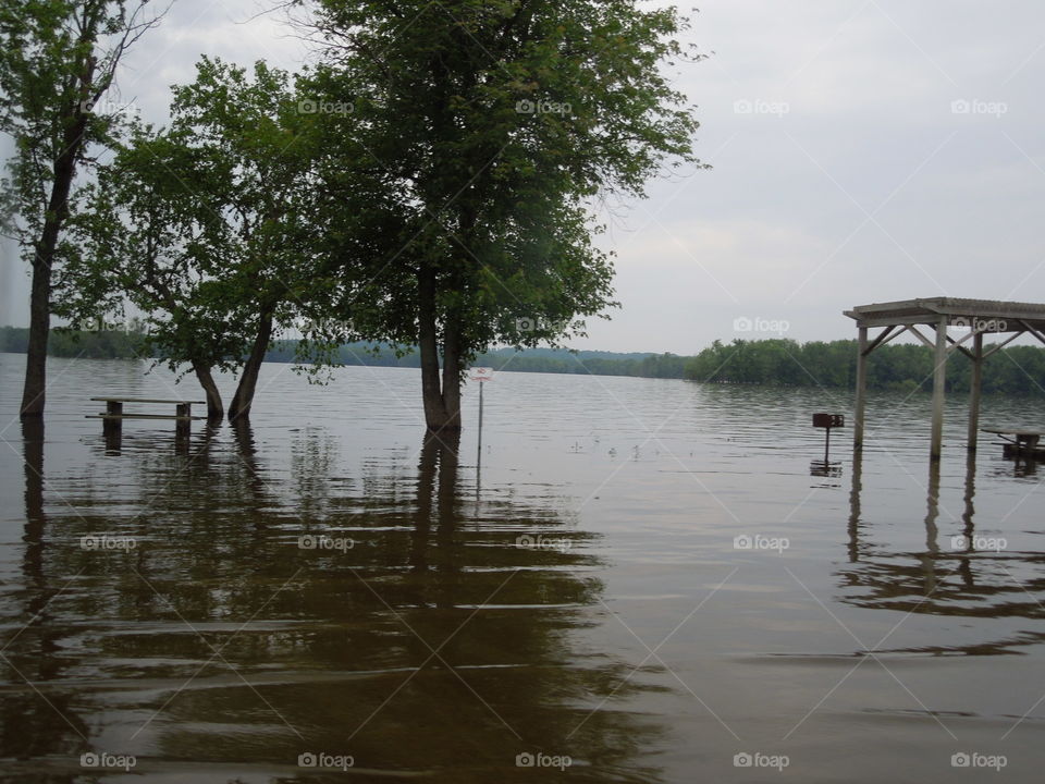 Water, No Person, Tree, Wood, Lake