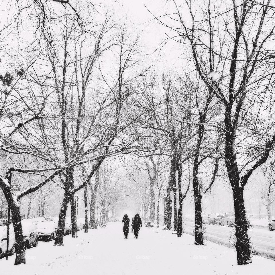 Winter day in Brooklyn 