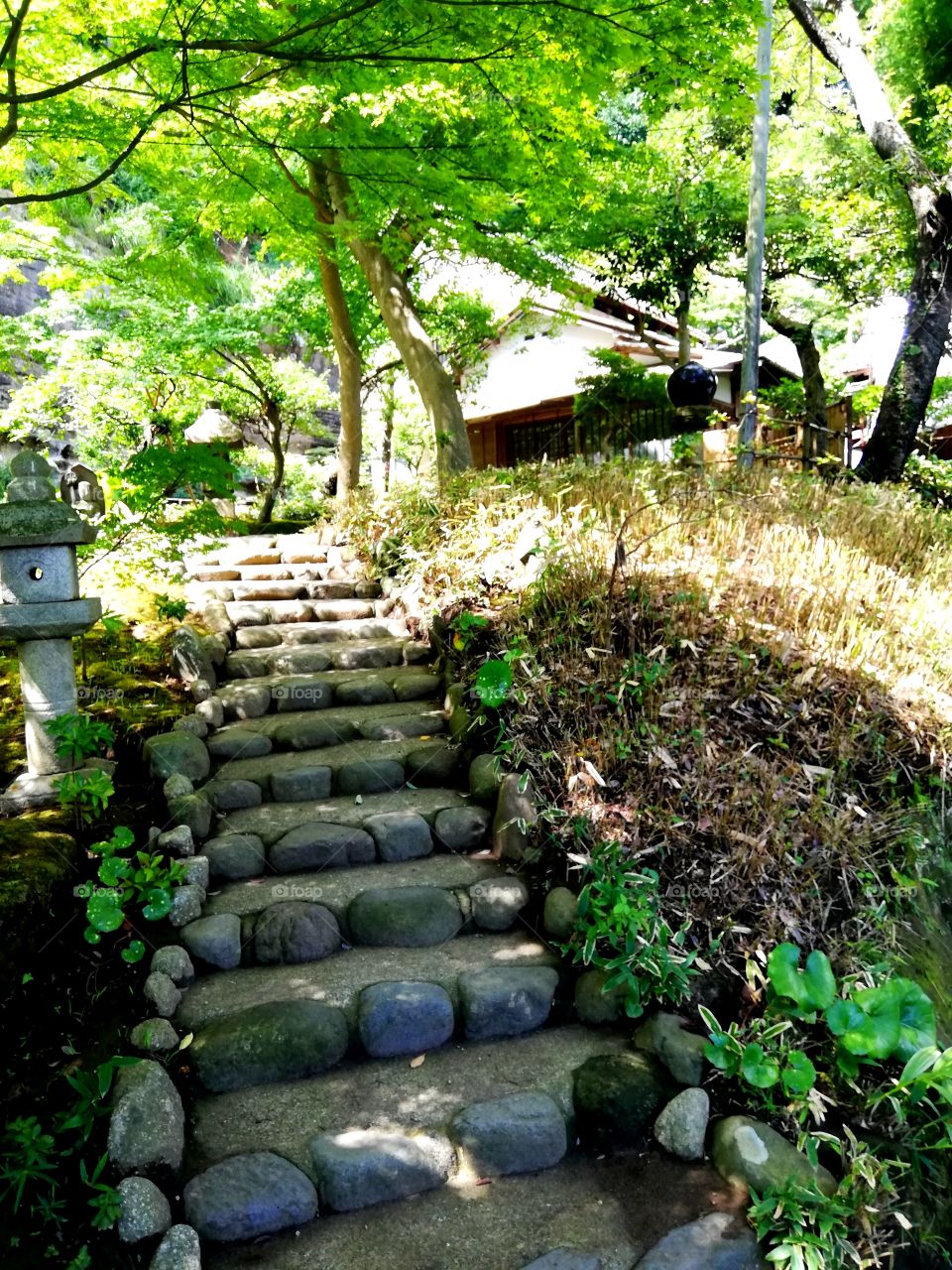 Stairs - Kitakamakura
