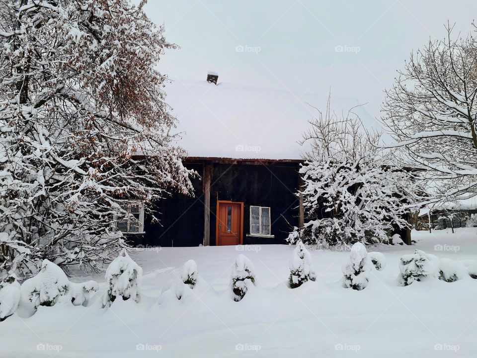 Small cottage covered with snow in December
