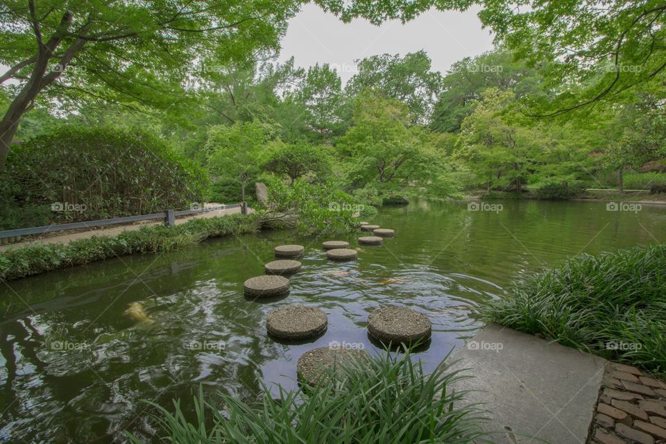 Japanese Garden Fort Worth 