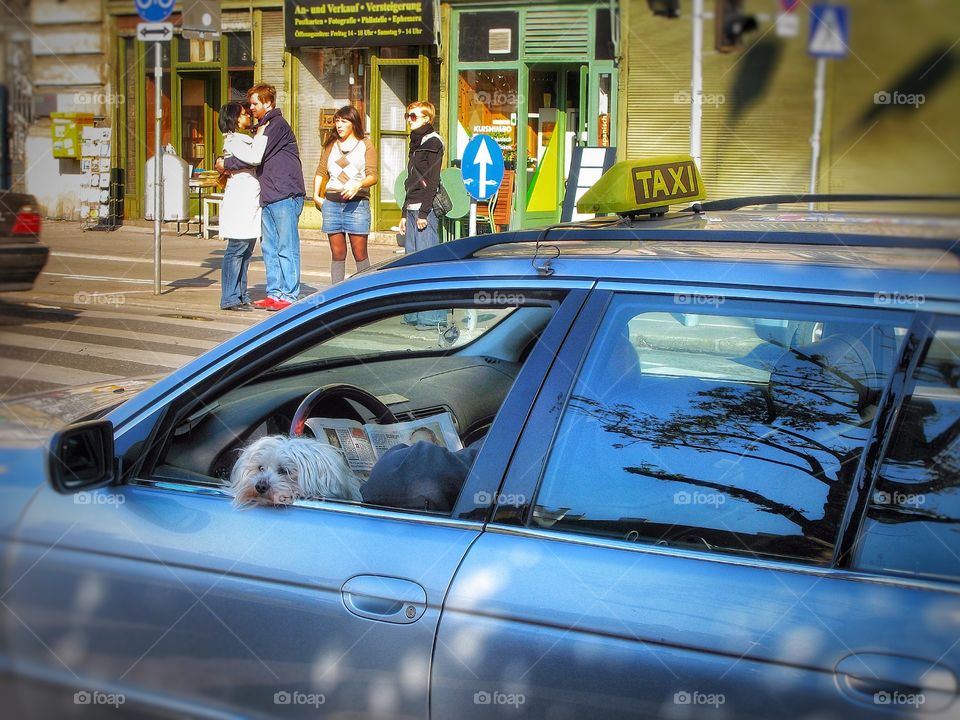 Street Life Austria 