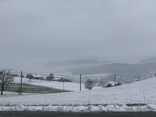 Swiss