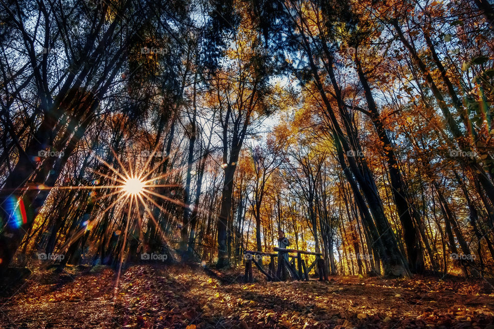 The sunlight and the moonlight