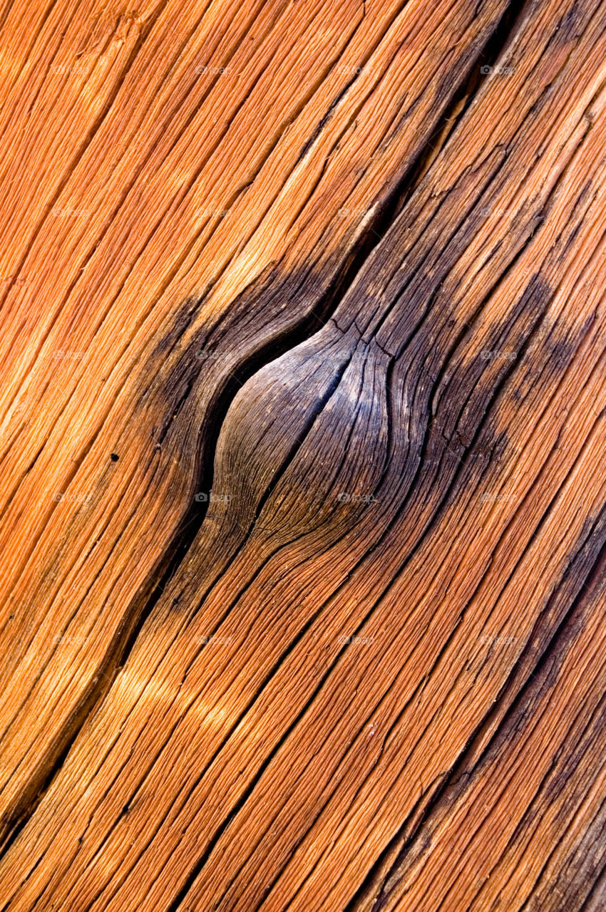 wood antique wood old wood dry wood by bushler14