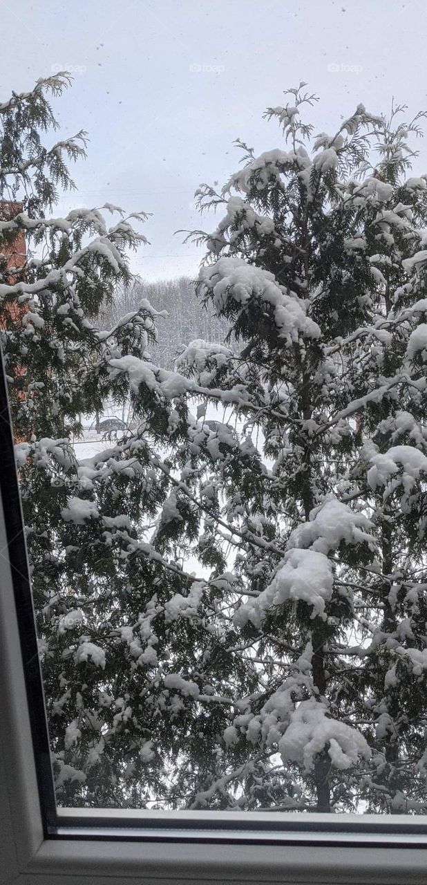 The nature painted in white