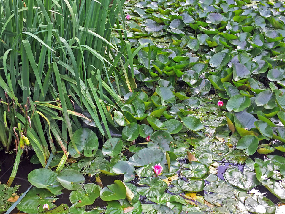 Atomium Park
Brussels, Belgium