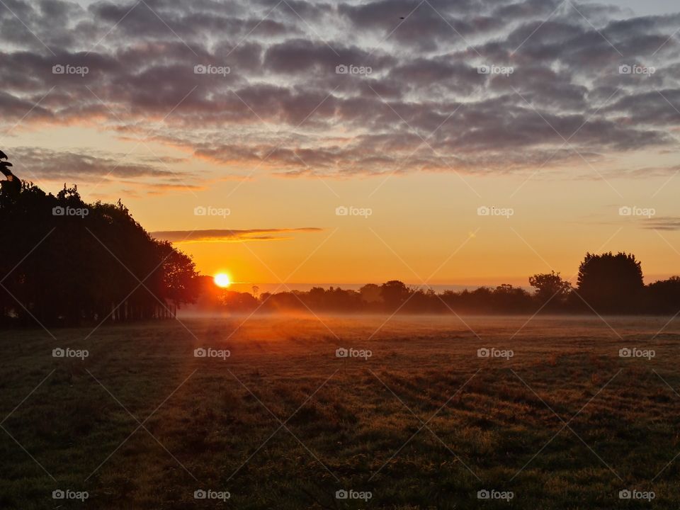 Suffolk fields