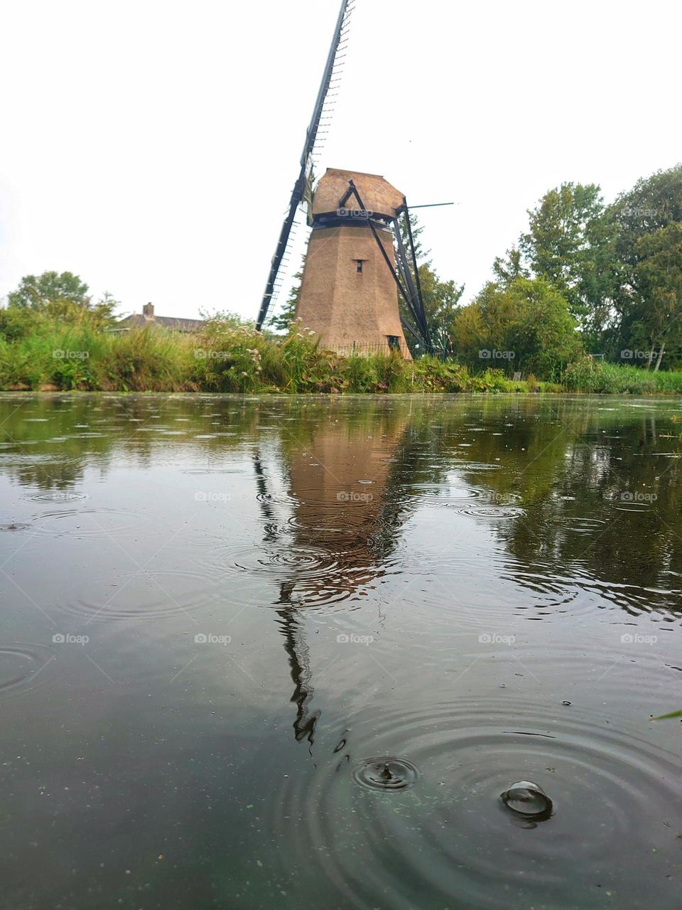 windmill