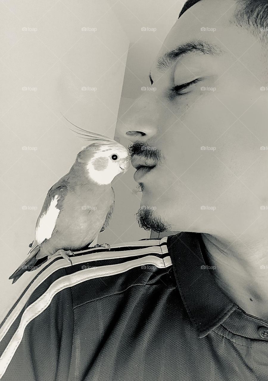 Lovebird