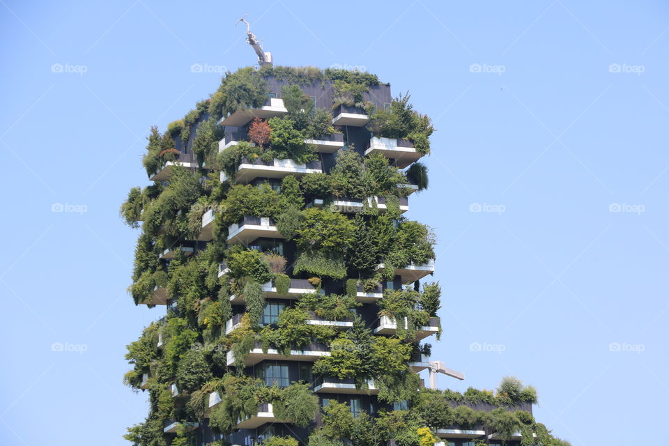 When all the balcony space I a made with many big pots and plants make the building green 