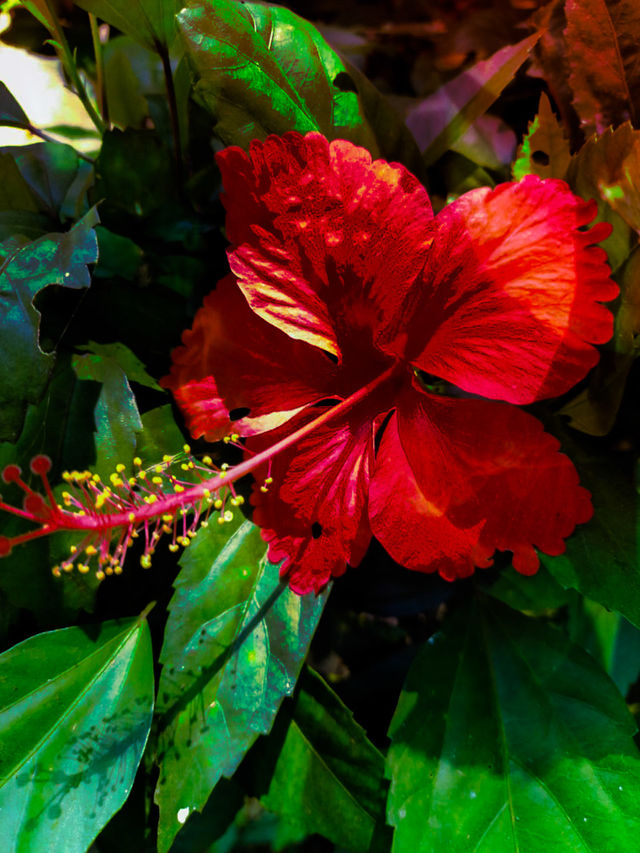 Observe beauty around you