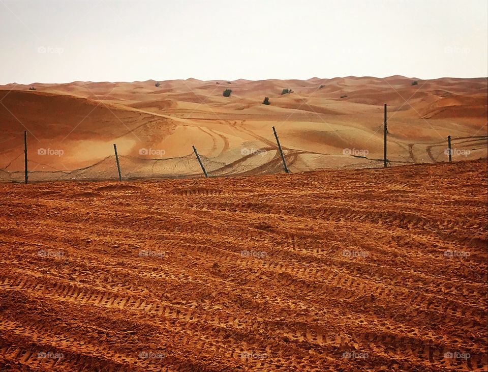 Red Sand Desert, UAE
