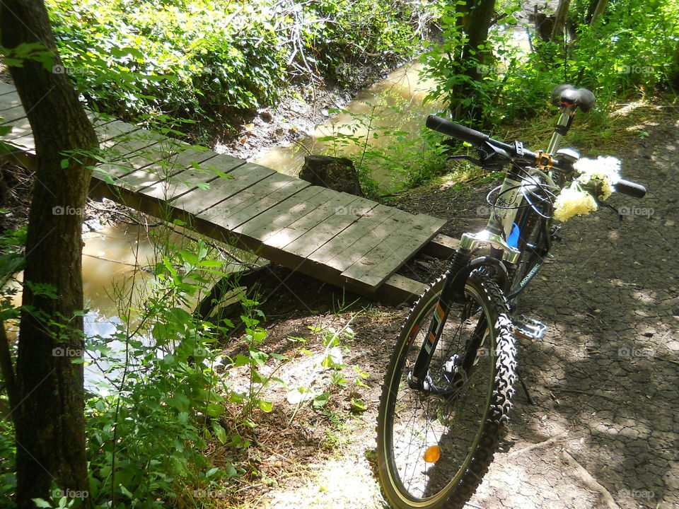 Bike, bridge, stream in the forest