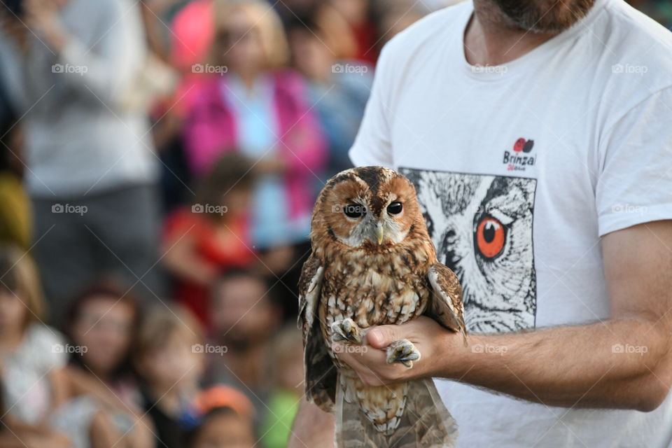 Suelta del Cárabo-Loose from the Owl