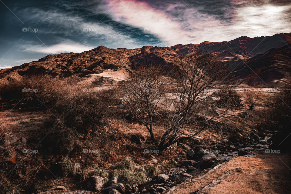 Moments...

Tafí del Valle - Tucumán - Argentina.