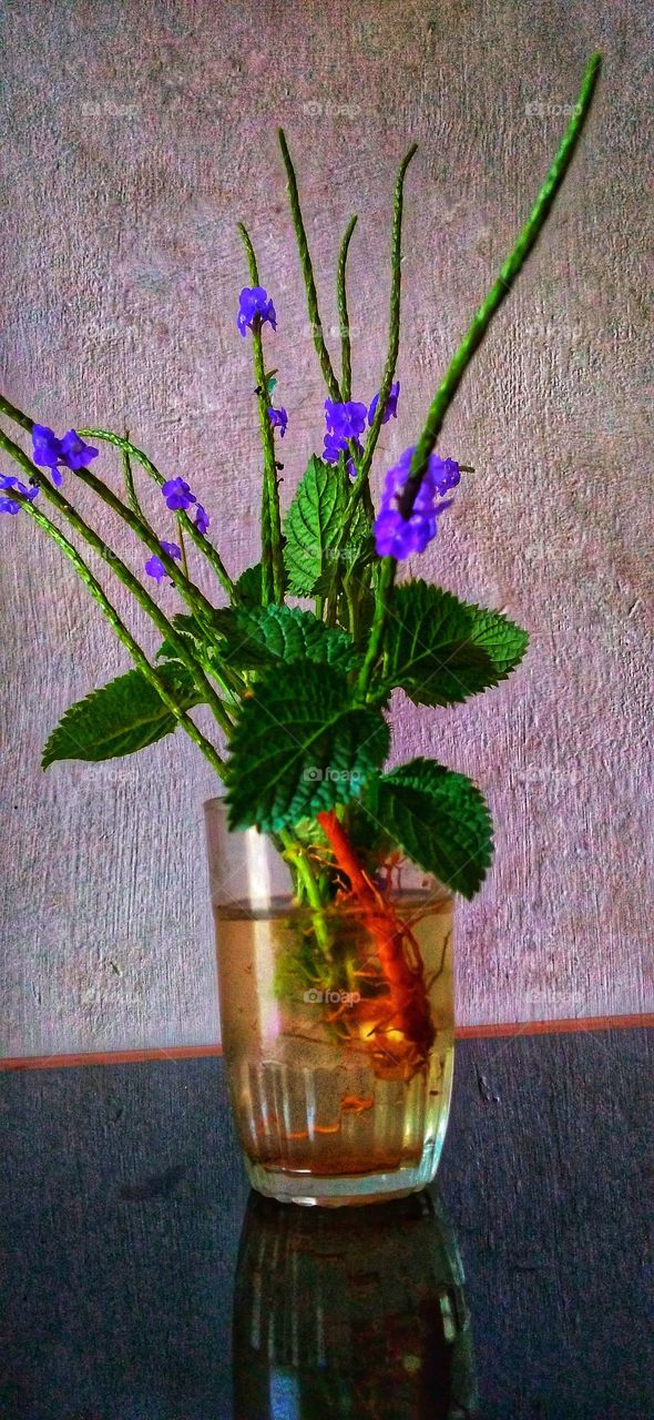 Flowers in a glass pot