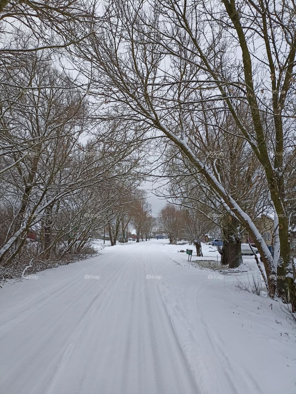 Winter in the village