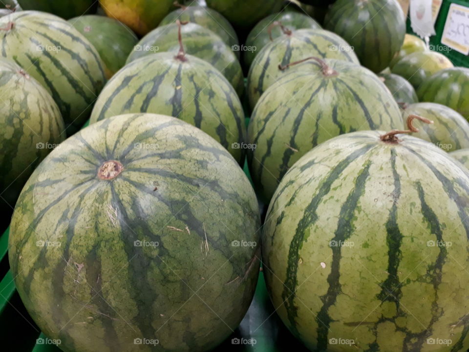 ini adalah buah semangka atau dalam bahasa inggrisnya watermelon. tampak kulit buahnya segar dan menggoda.