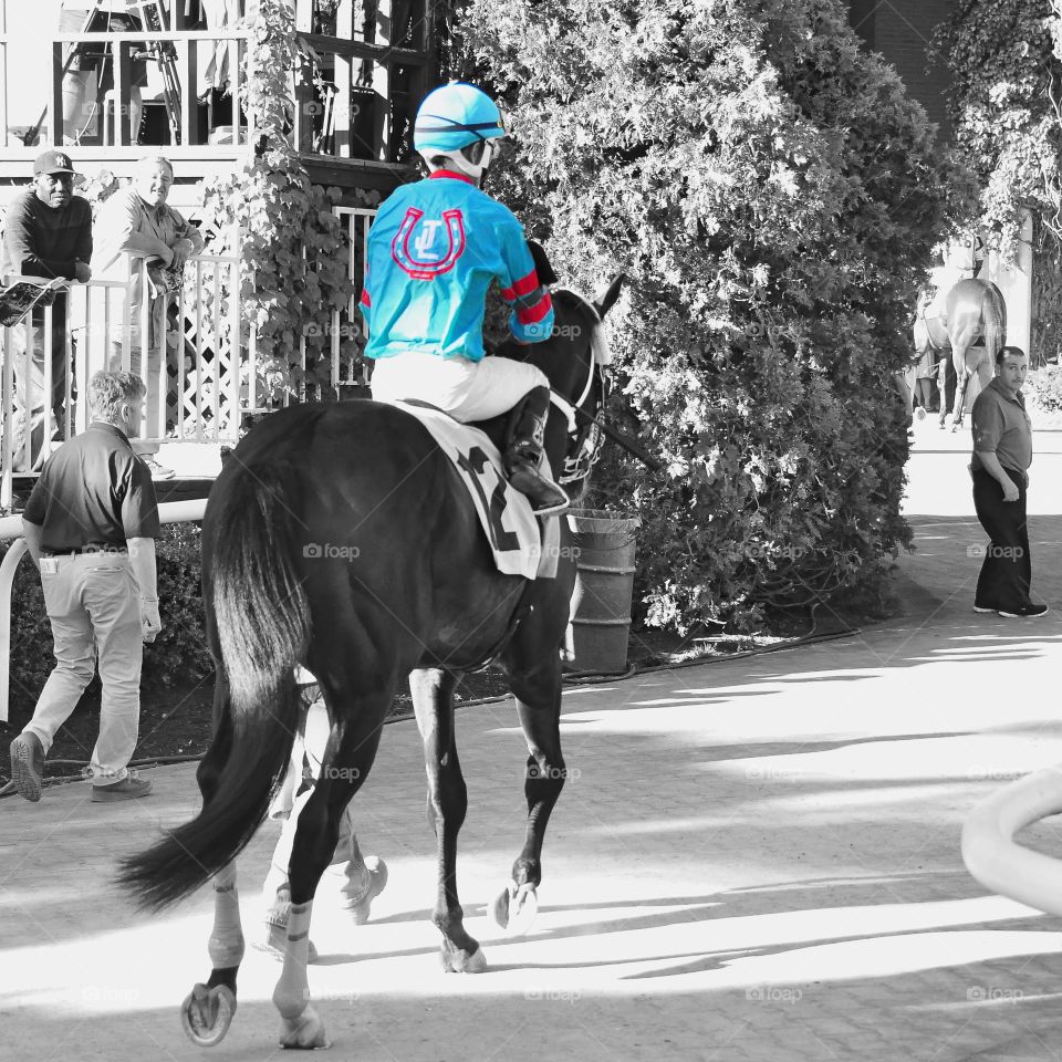 Fleetphoto At Belmont