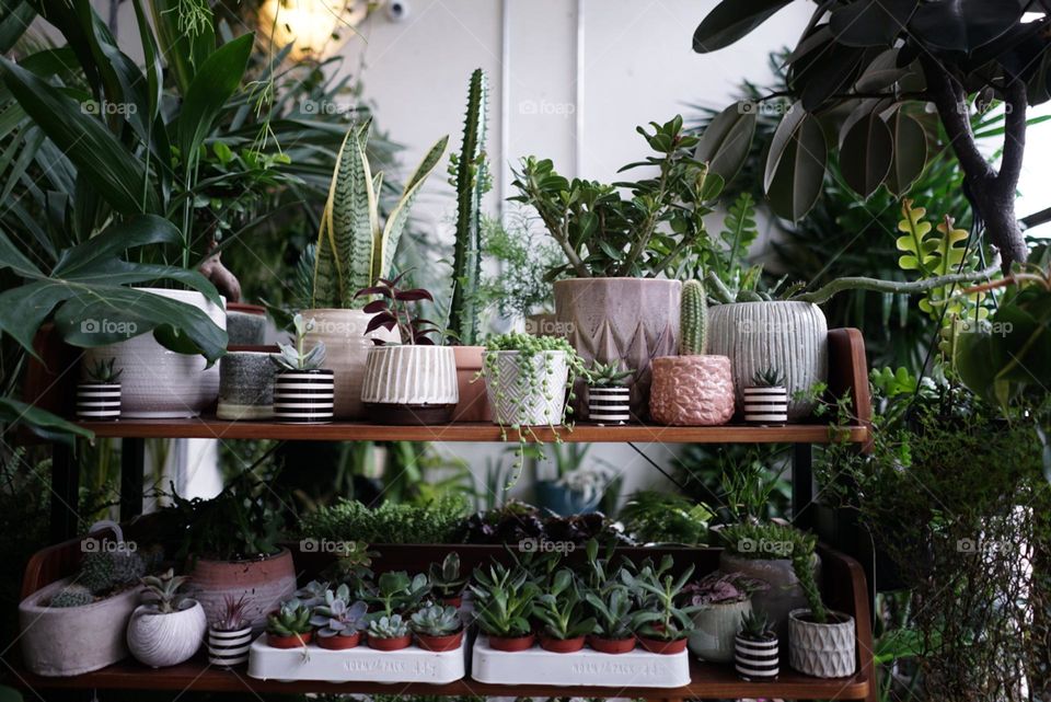 Plants make everything better 💚