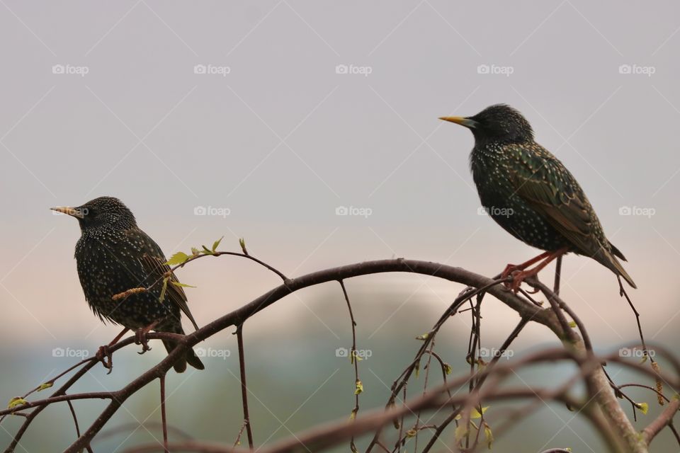 Love is not about looking at each other, but about looking in the same direction together...