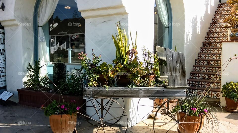 Rustic cart of succulents outside a store front on San Diego Avenue in Old Town State Park, San Diego, CA.