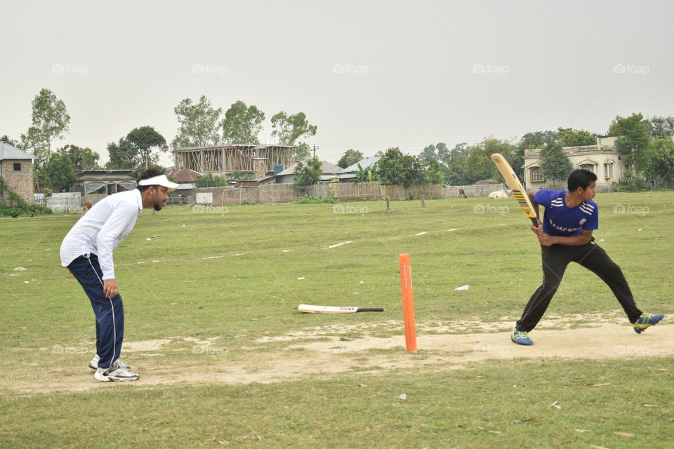 The Cricket Play