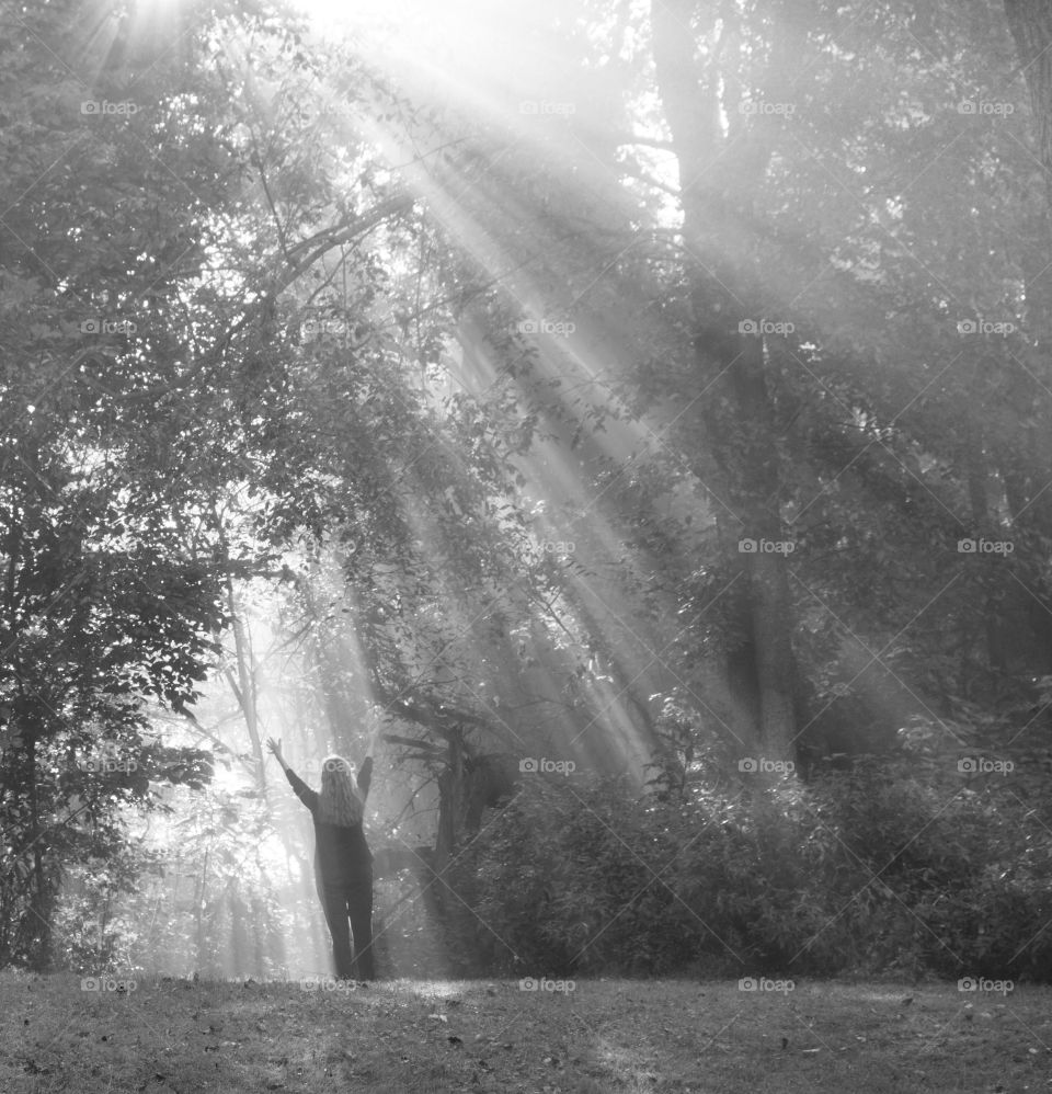 Black and white, early morning sun rays