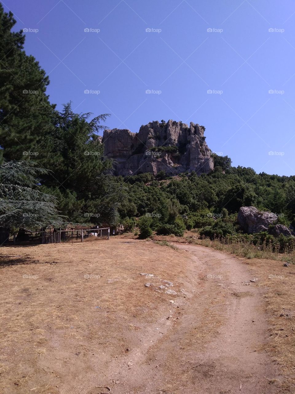 Editors' Choice - Photo of the Week