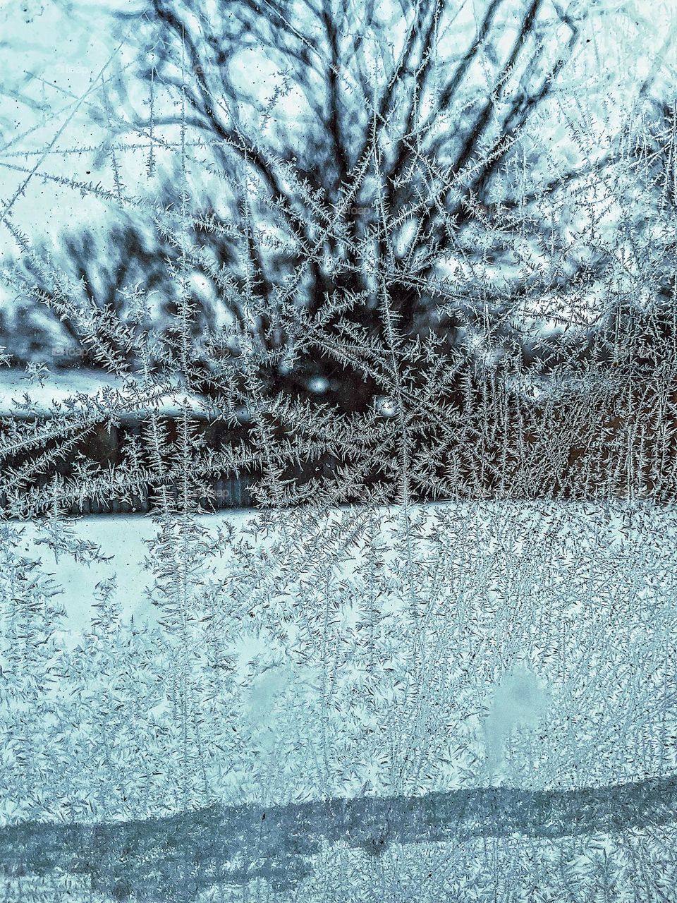 Jack Frost on the windows, icy art on the windows, looking out of the windows in the winter, icy artistry, Jack Frost comes overnight 