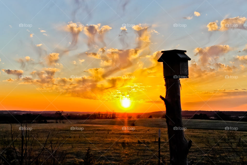 Sunset and a birdhouse