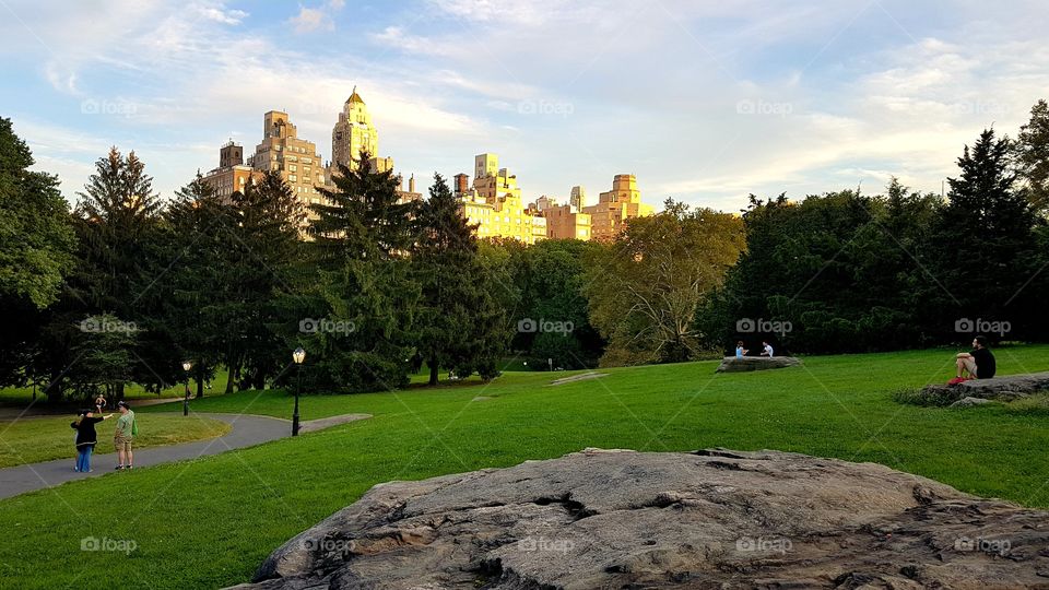 Central Park in NYC on a summer day