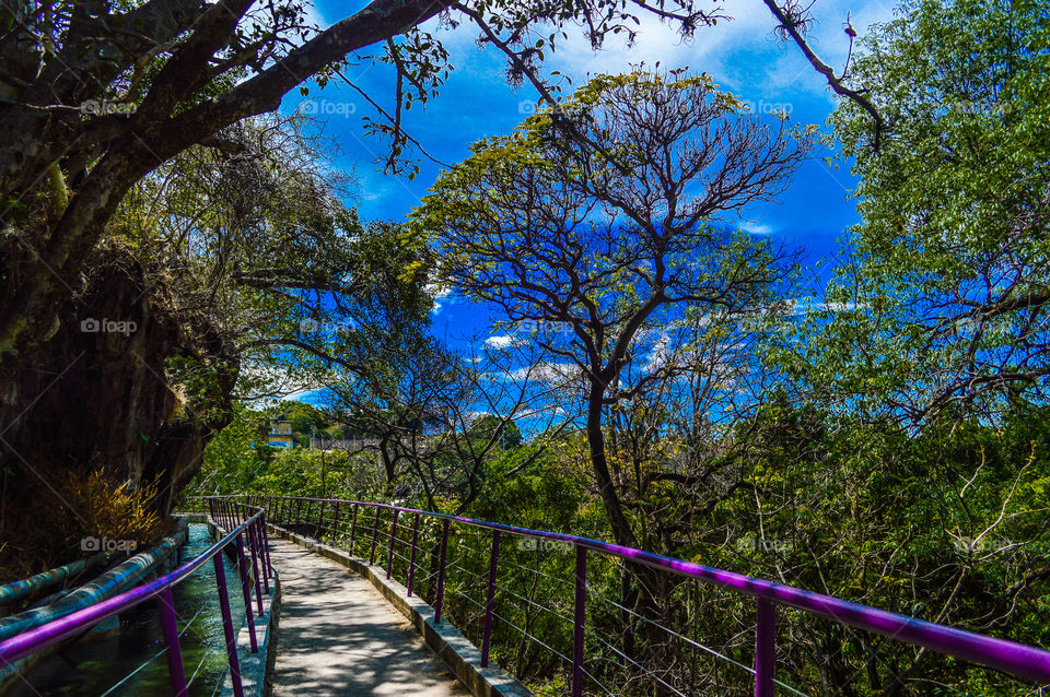 Colores y más colores