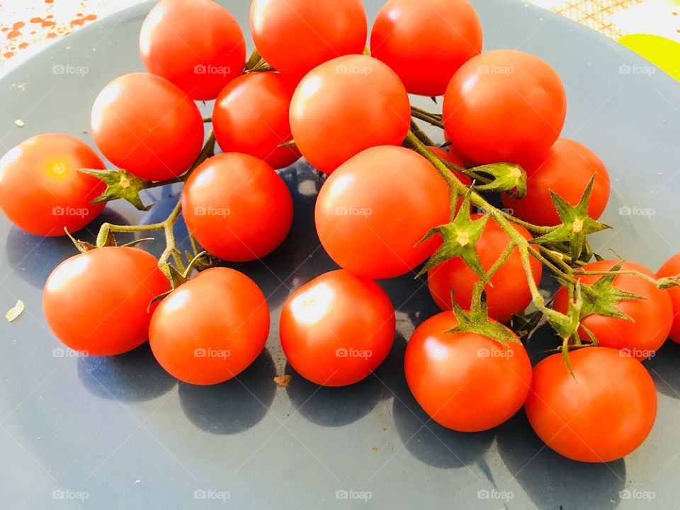 Tomatoes