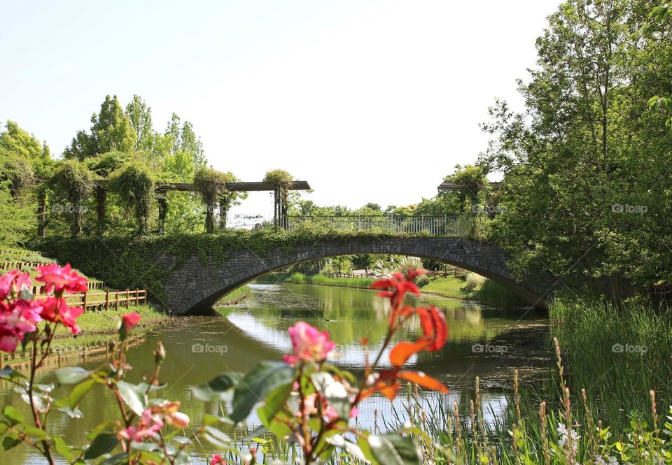 Bridge with plants