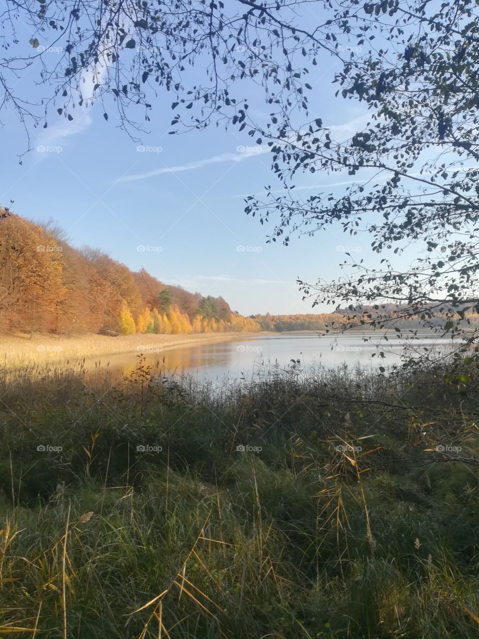 Wald See Natur Himmel Herbst