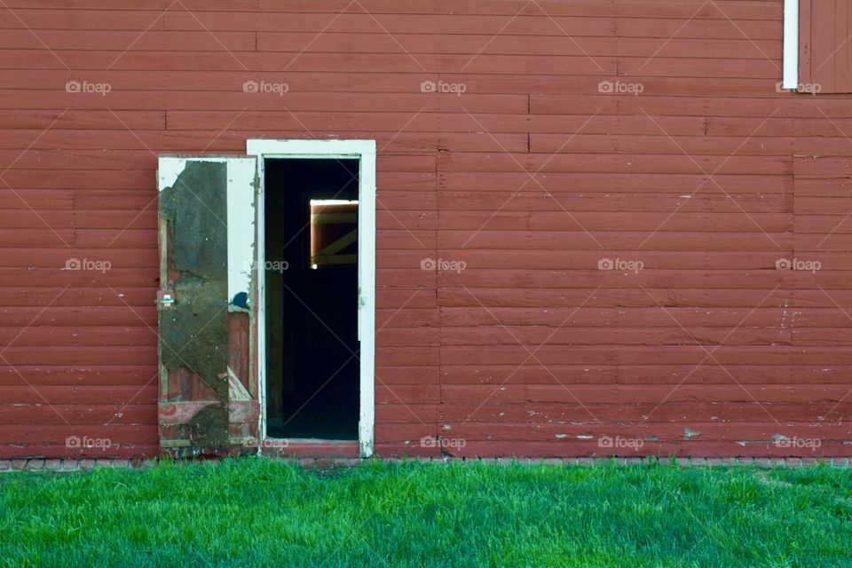 A weathered, open door with white trim in the side of a red barn on bright green grass 