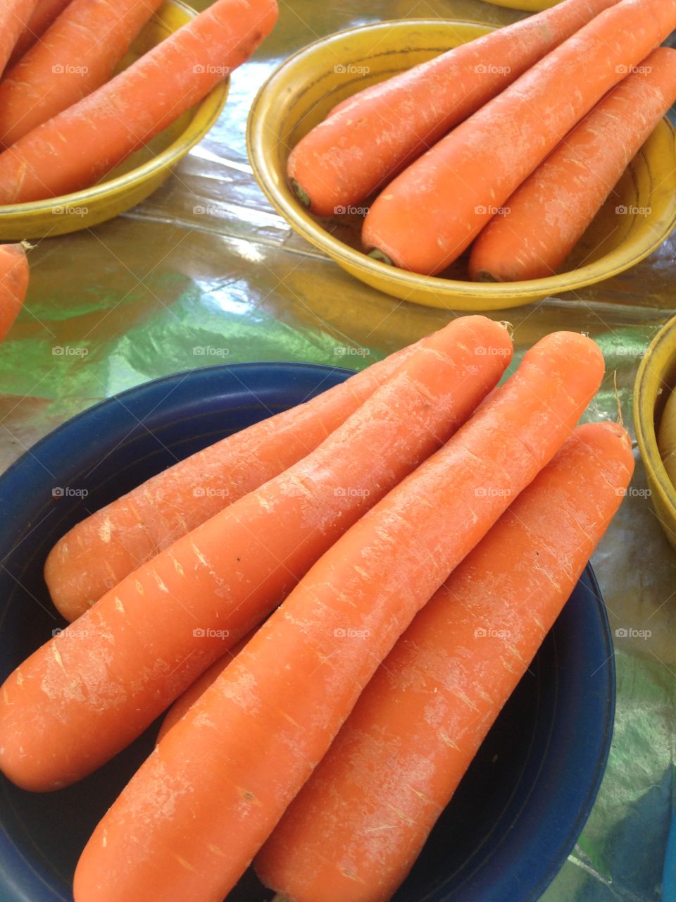 Cenouras na bacia