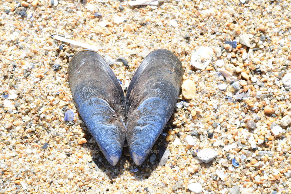 The heart of the beach