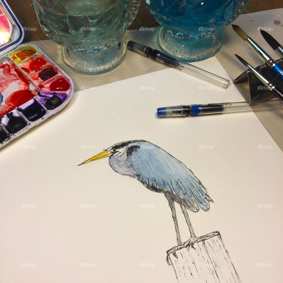 Watercolor sketch. Watercolor sketch of Great Blue Heron