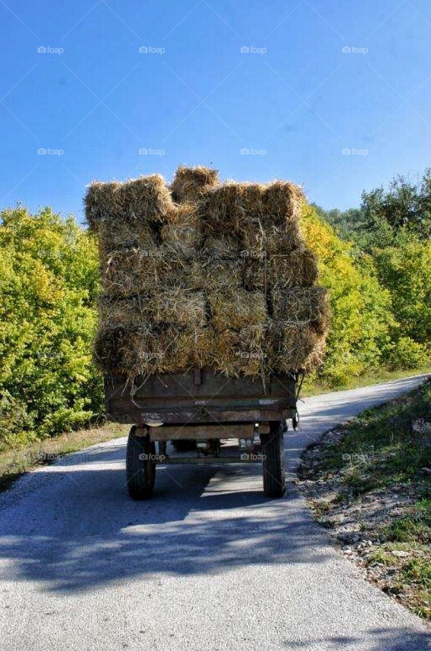 Hay transportation Macedonia 