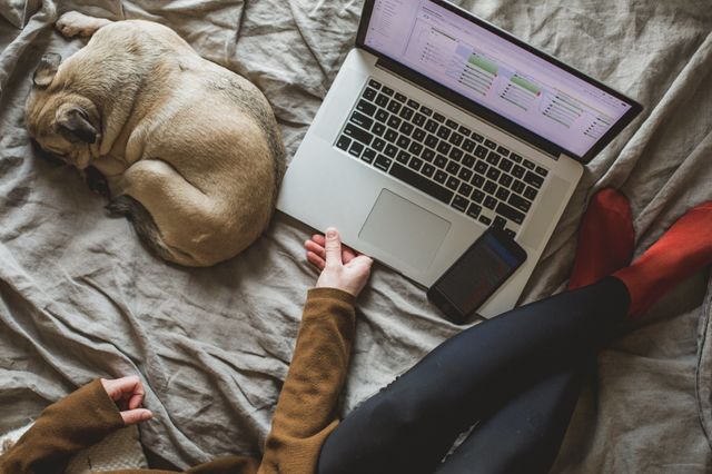 unique bond with pets