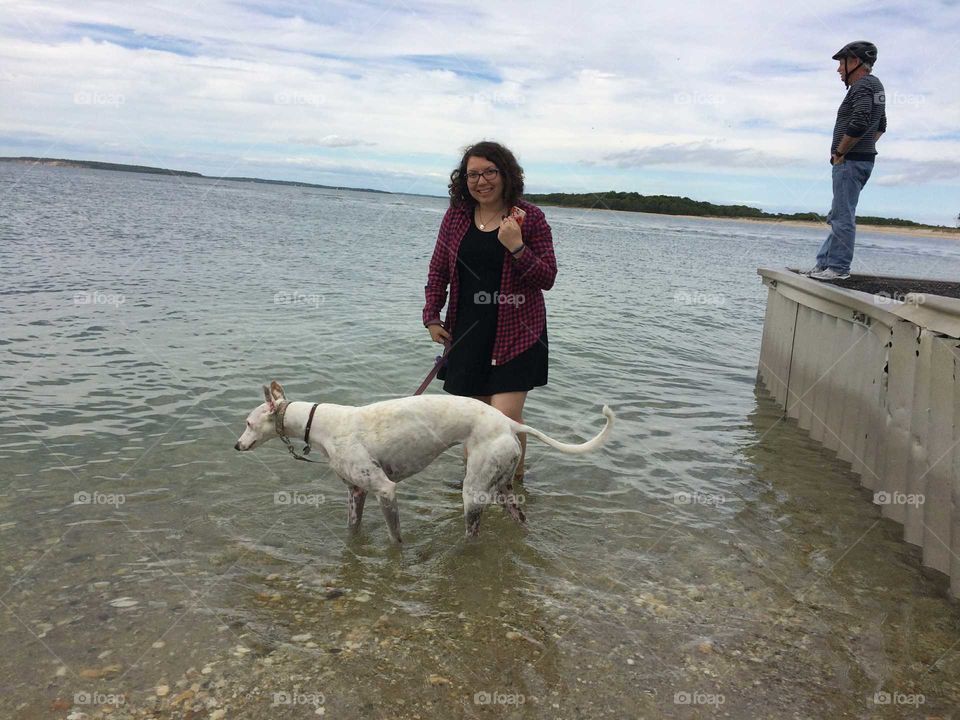 walking a greyhound in the bay