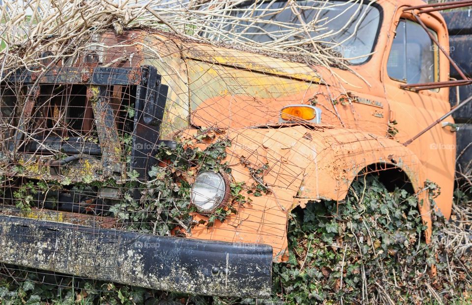 Truck overgrown with weeds