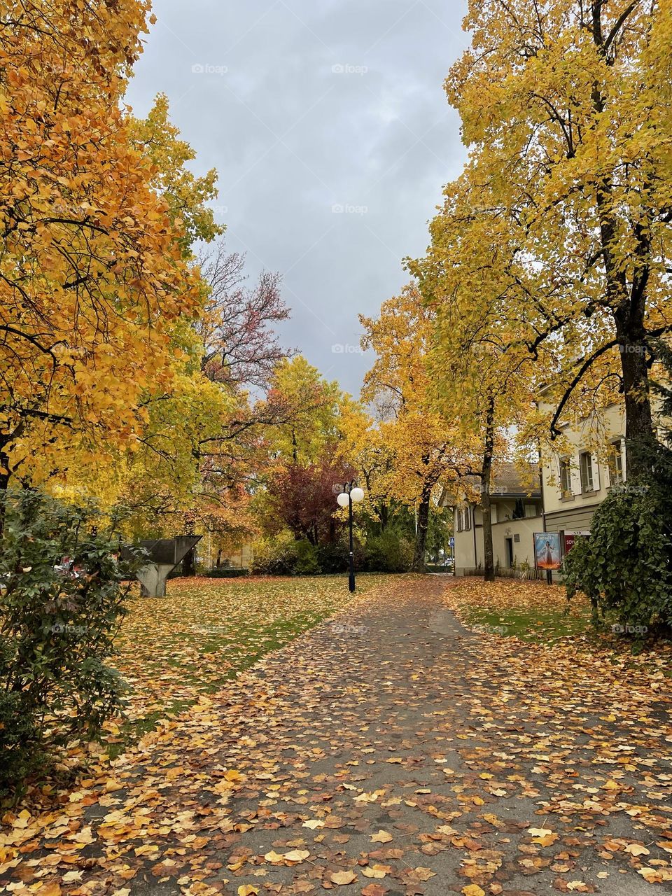 Lausanne city park in autumn, yellow leaves on trees and ground 