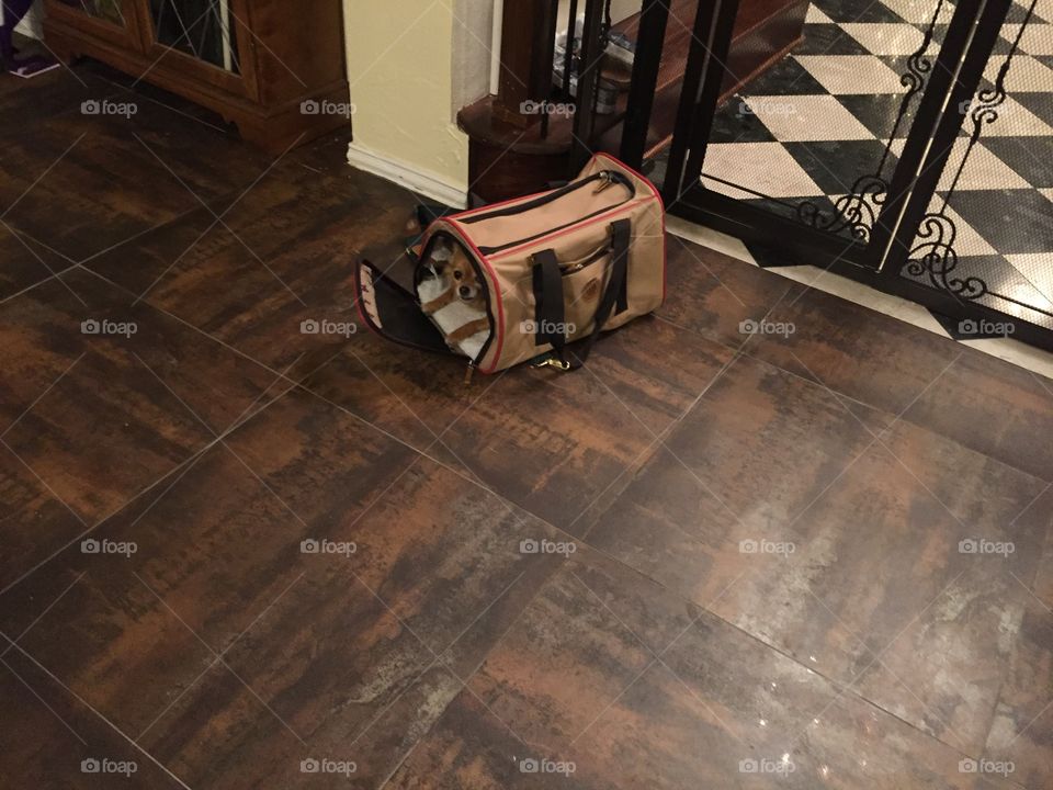 "They won't leave without me!"